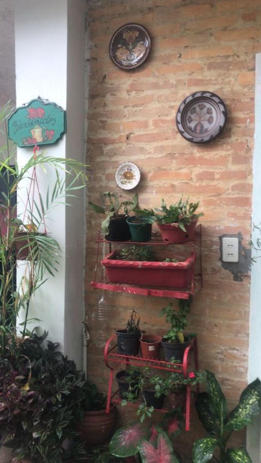 La Petite Maison De Diana Asunción Exterior foto