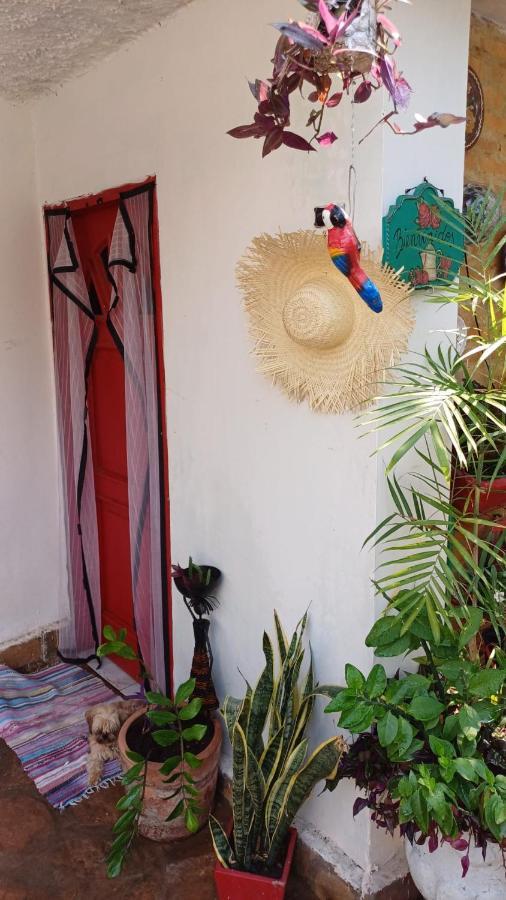 La Petite Maison De Diana Asunción Exterior foto