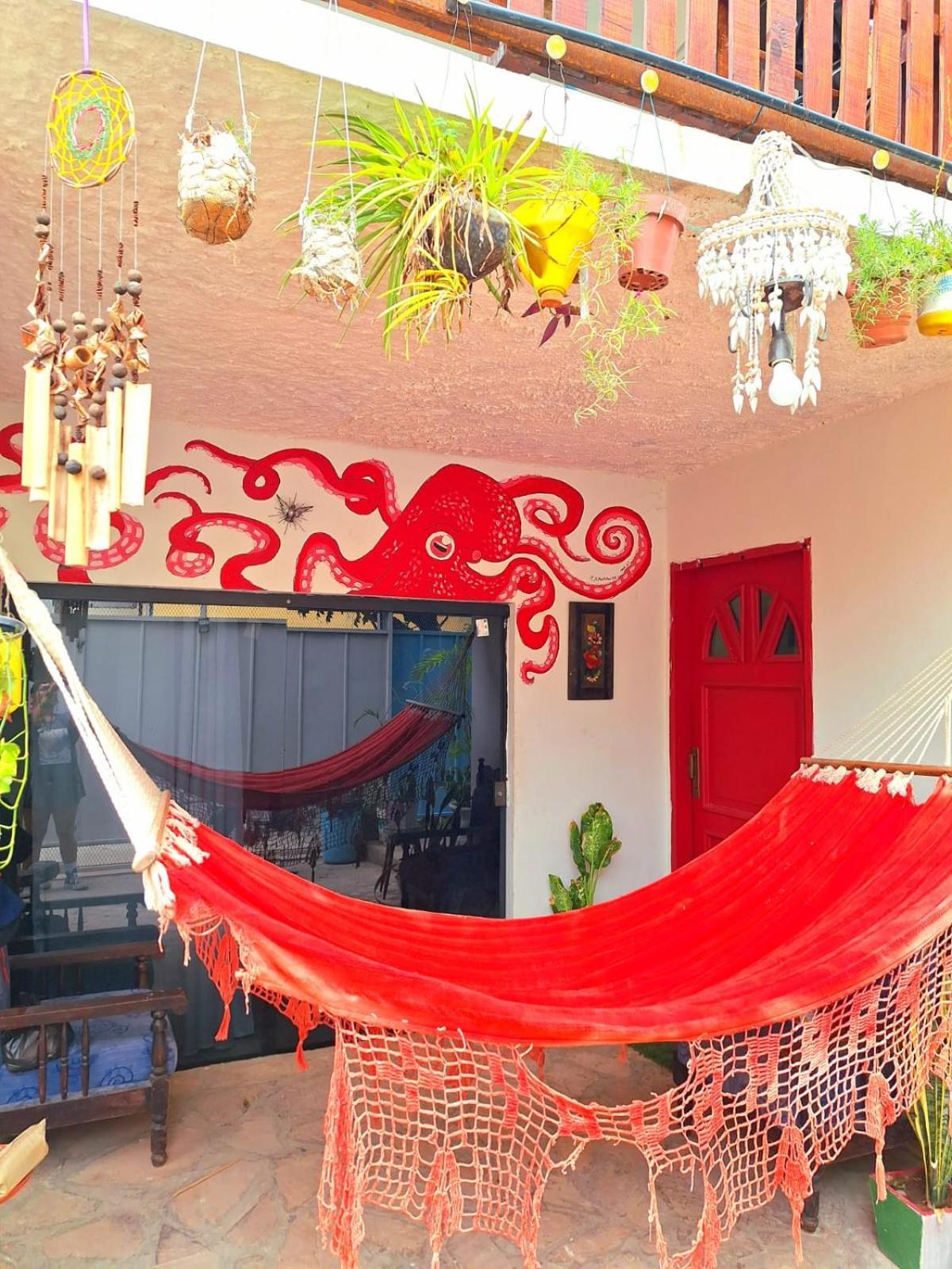 La Petite Maison De Diana Asunción Exterior foto