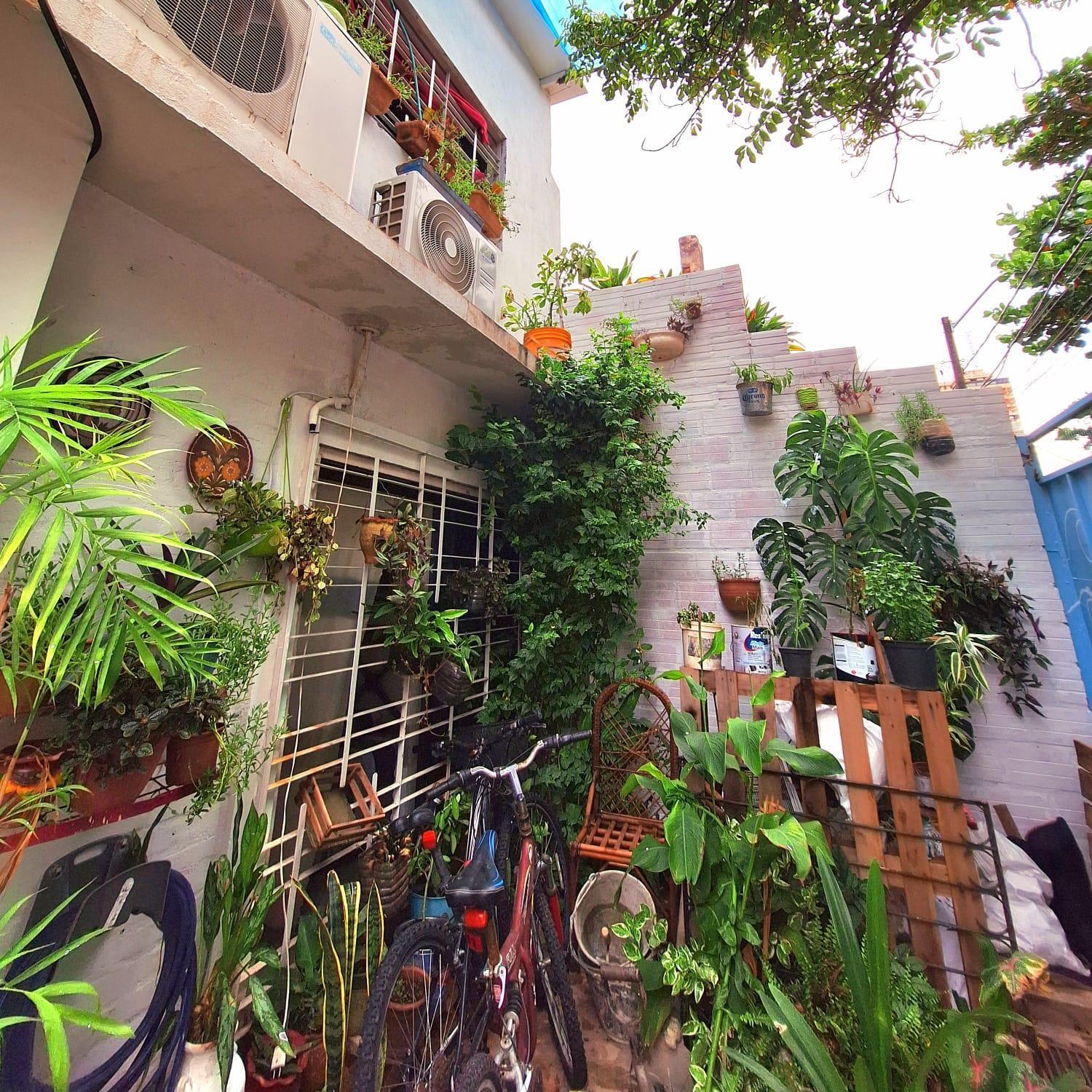 La Petite Maison De Diana Asunción Exterior foto